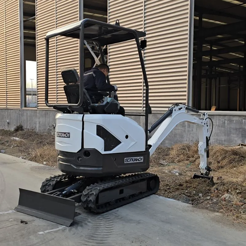 Mini Excavator 2000Kg